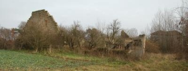 Pamětní deska Václava Bolemíra Nebeského z Nového Dvora